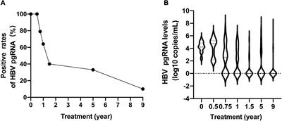 Frontiers | Dynamics Of Hepatitis B Virus Pregenomic RNA In Chronic ...